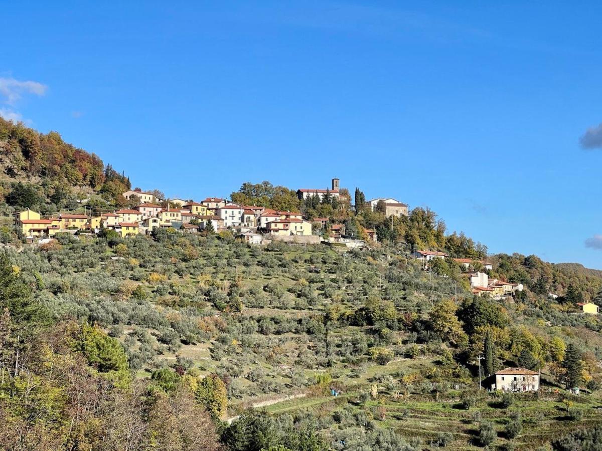 Villetta Mi Il Fabbro エクステリア 写真
