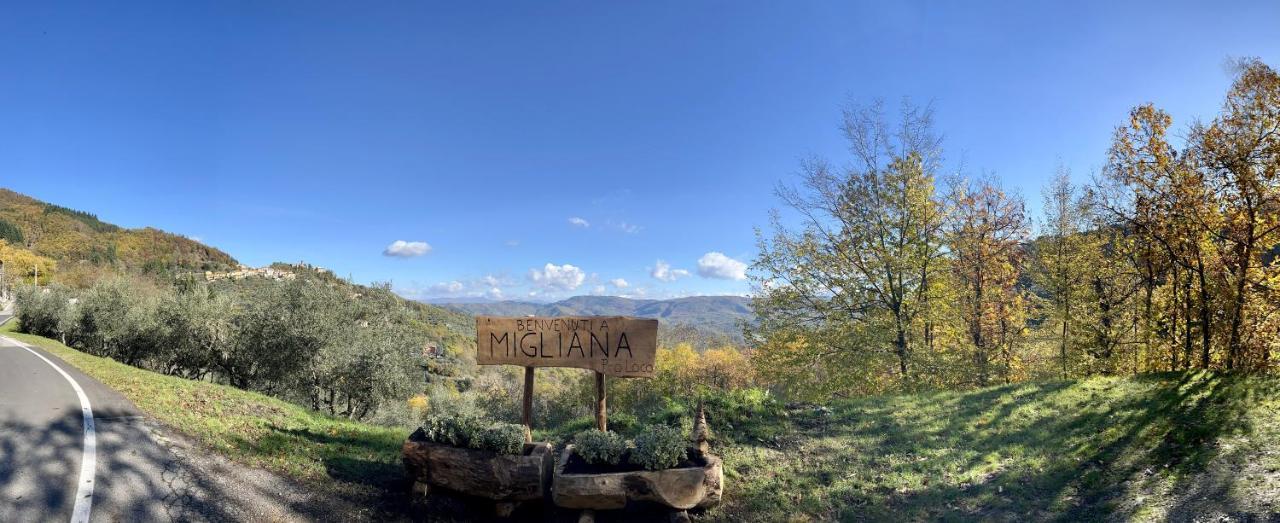 Villetta Mi Il Fabbro エクステリア 写真