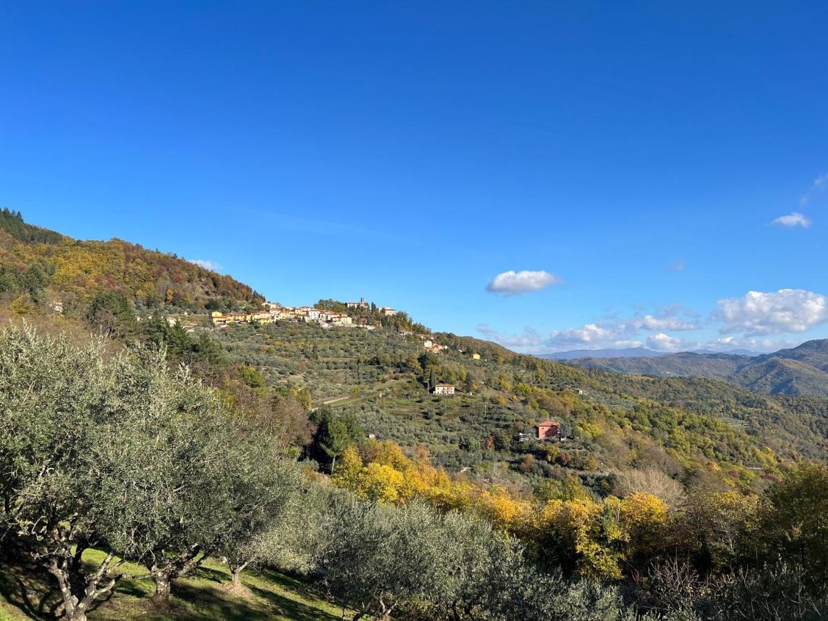 Villetta Mi Il Fabbro エクステリア 写真